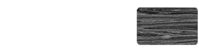 Lamparto