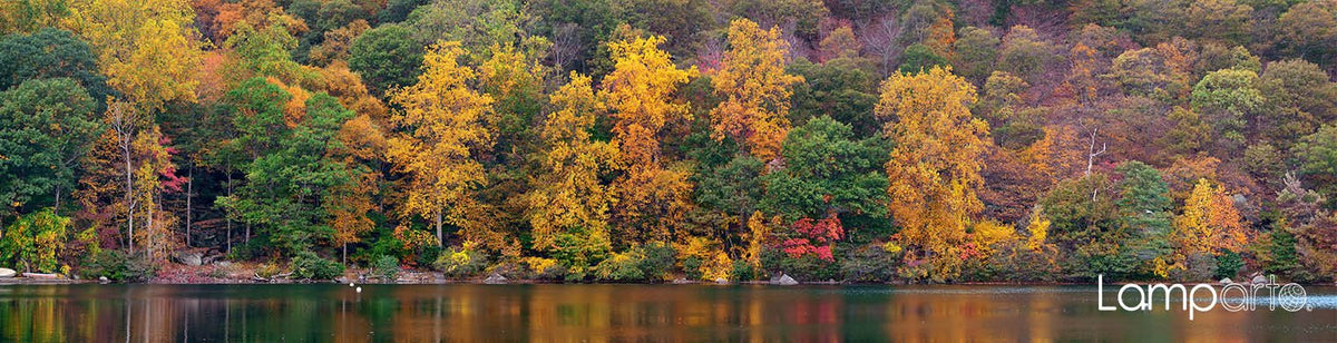 Autumn Hues