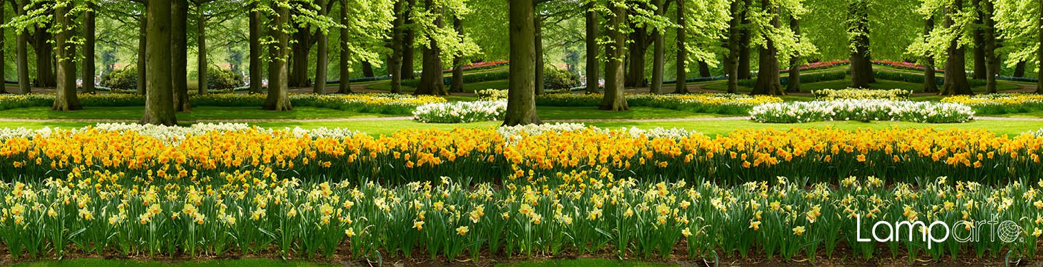 Keukenhof blend