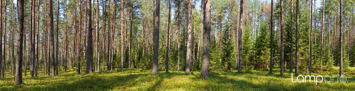 Forestry Commission