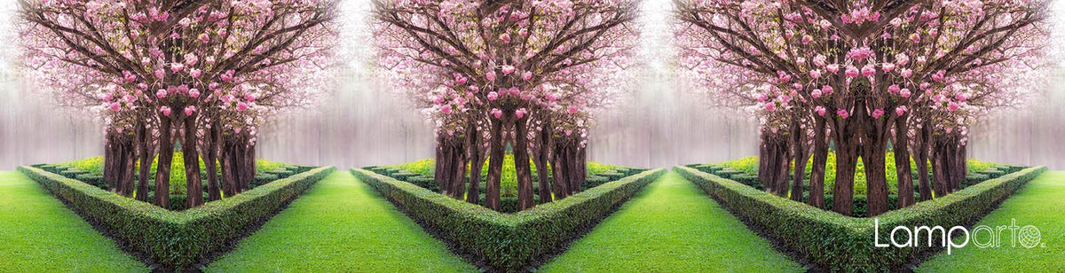 Spring Hedge