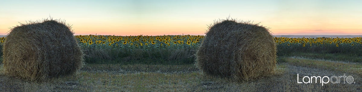 Haybale