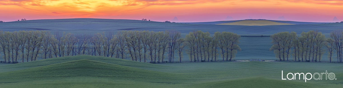 Rolling Fields