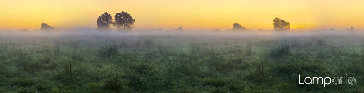 Fog Slowly Lifting