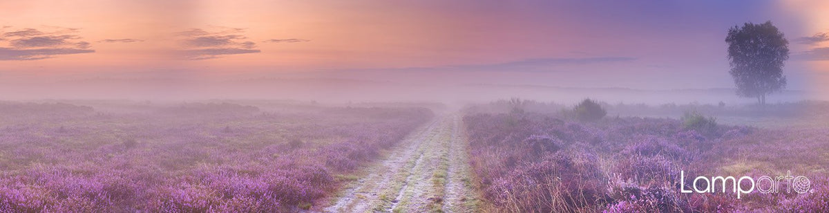 Blooming Heather