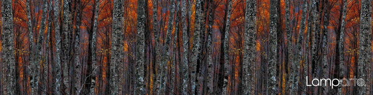 Autumn Layers