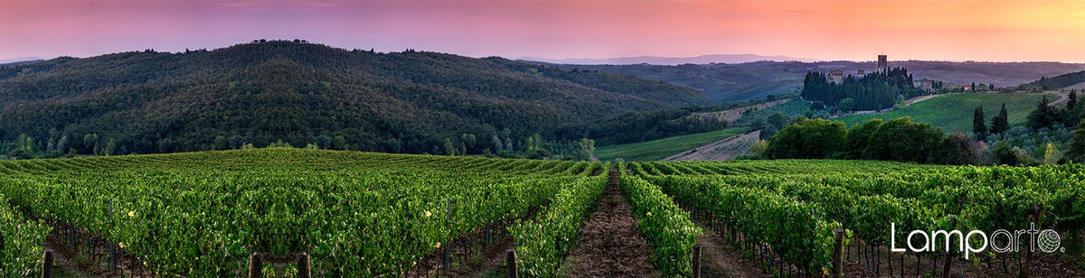 Chianti Region
