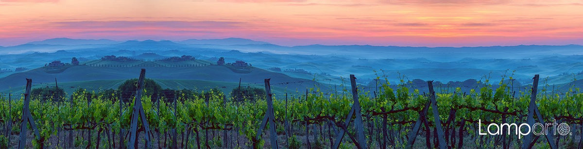 Chianti Valley