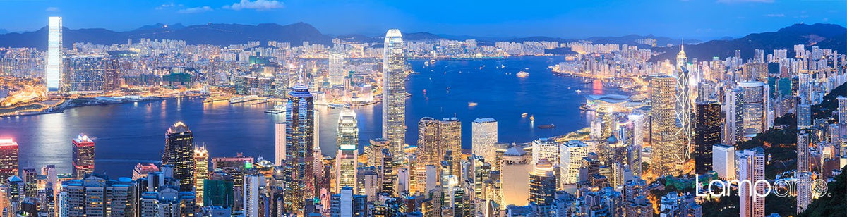 Hong Kong City Lights