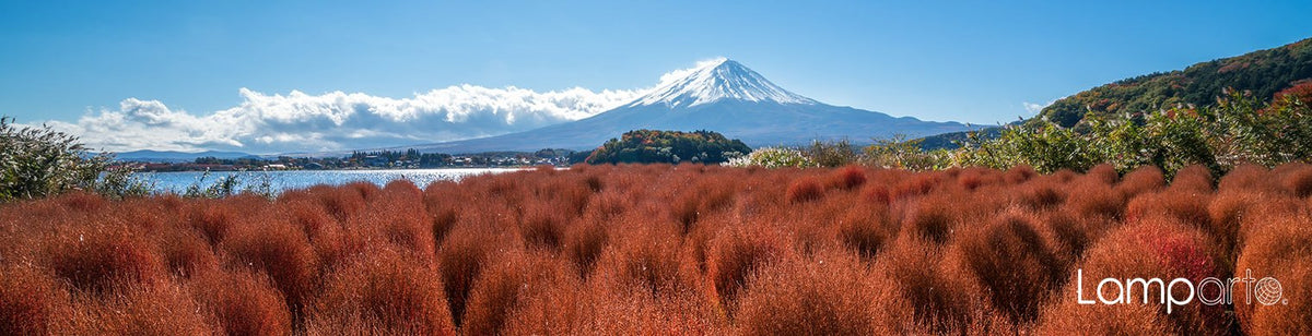 Fuji Panorama