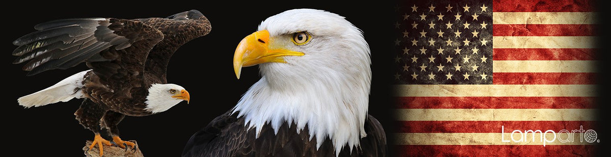 Eagle Eye