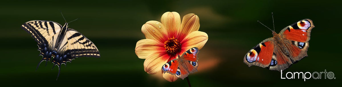 Very Hungry Caterpillar