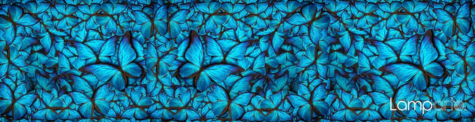 Butterfly Flutter