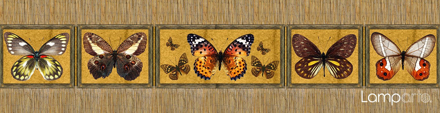 Bamboo Butterlfy