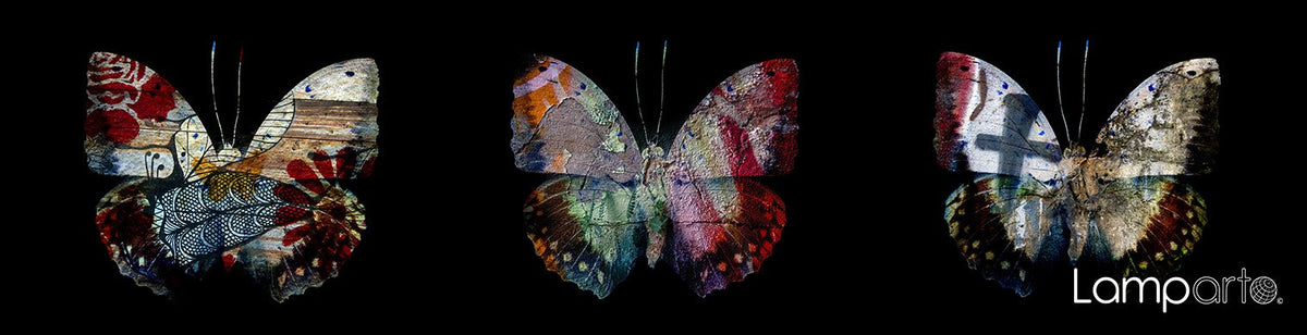 Butterfly Art