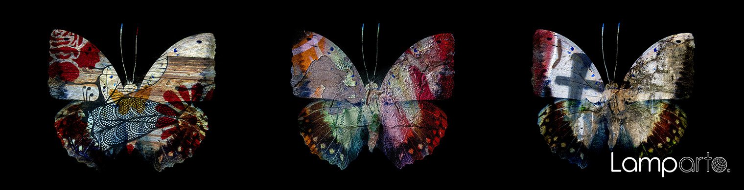 Butterfly Art