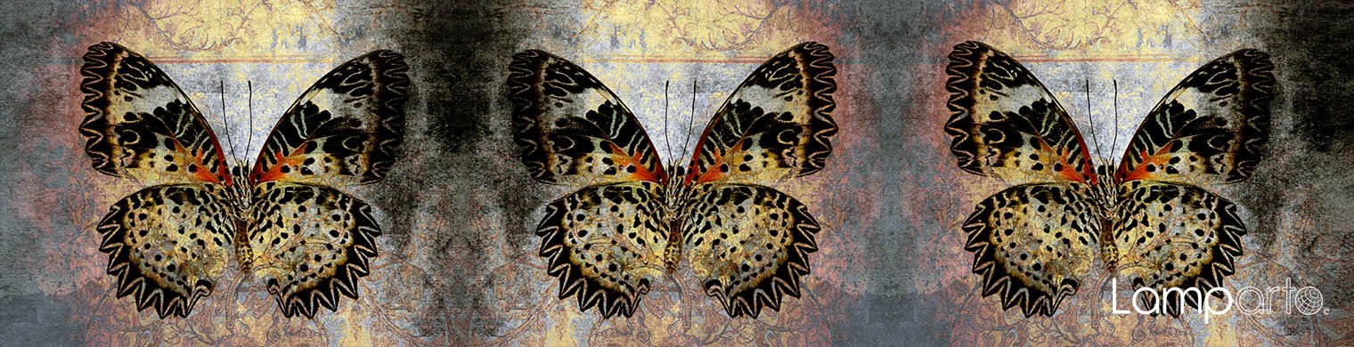 Butterfly Montage