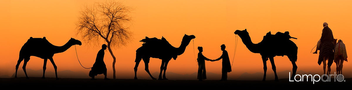 Camel Trader
