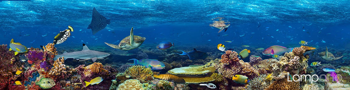 Underwater Treasures