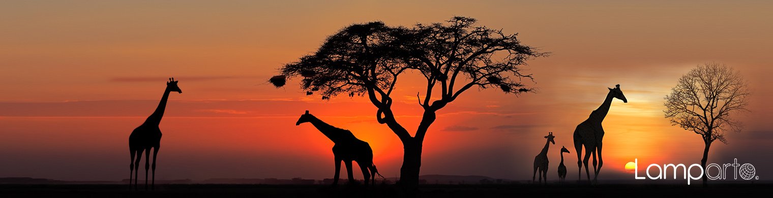 Sunset Giraffe