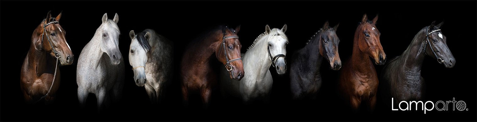 Grace and Beauty