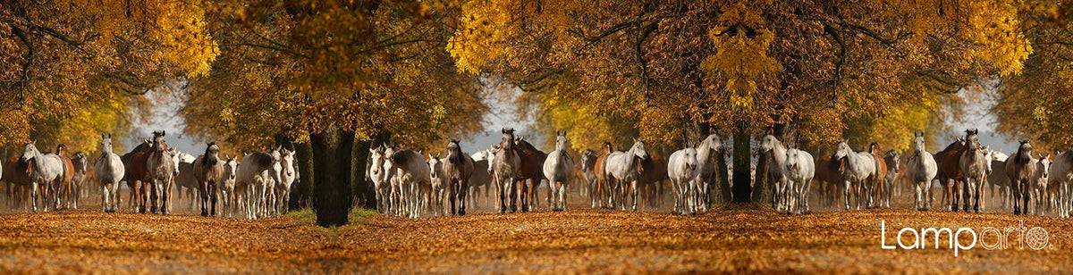 Wild Horses