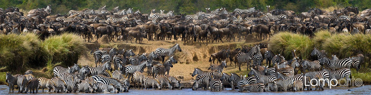 Great Migration