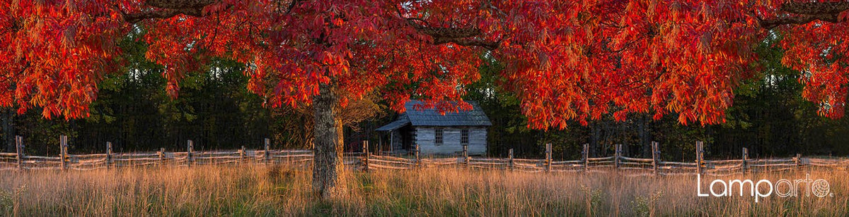 Autumnal Cottage