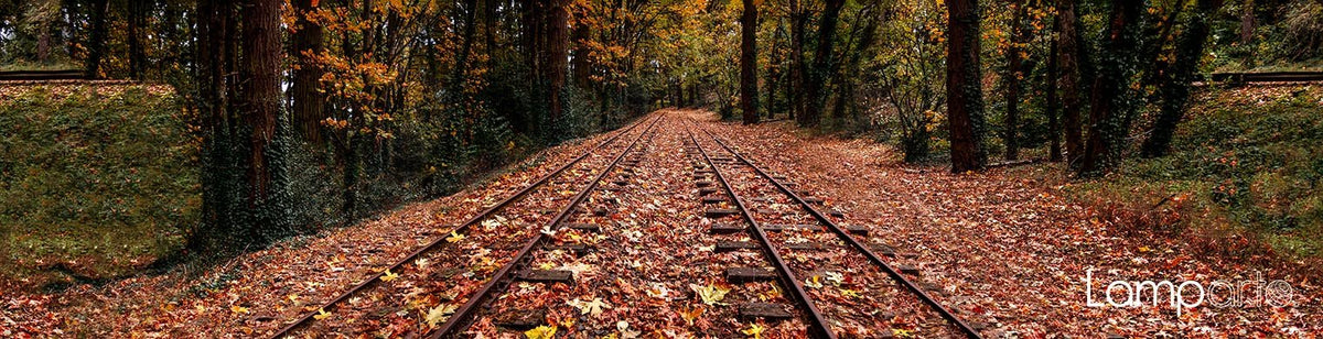 Autumn Tracks