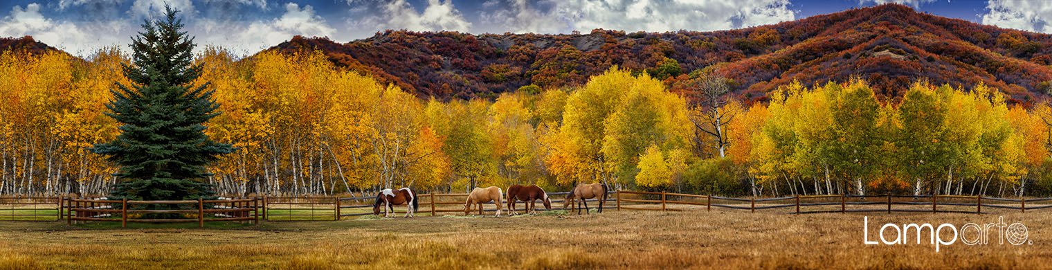 Autumnal Horses