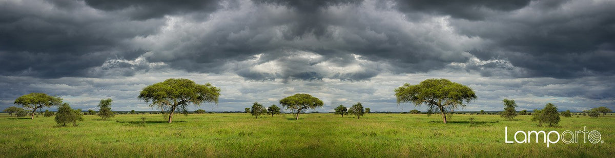 Storm Brewing