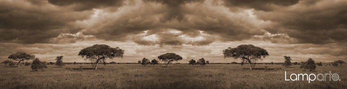 Storm Brewing Sepia