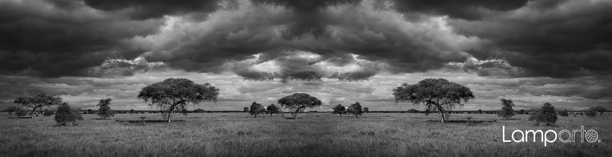 Storm Brewing B&W